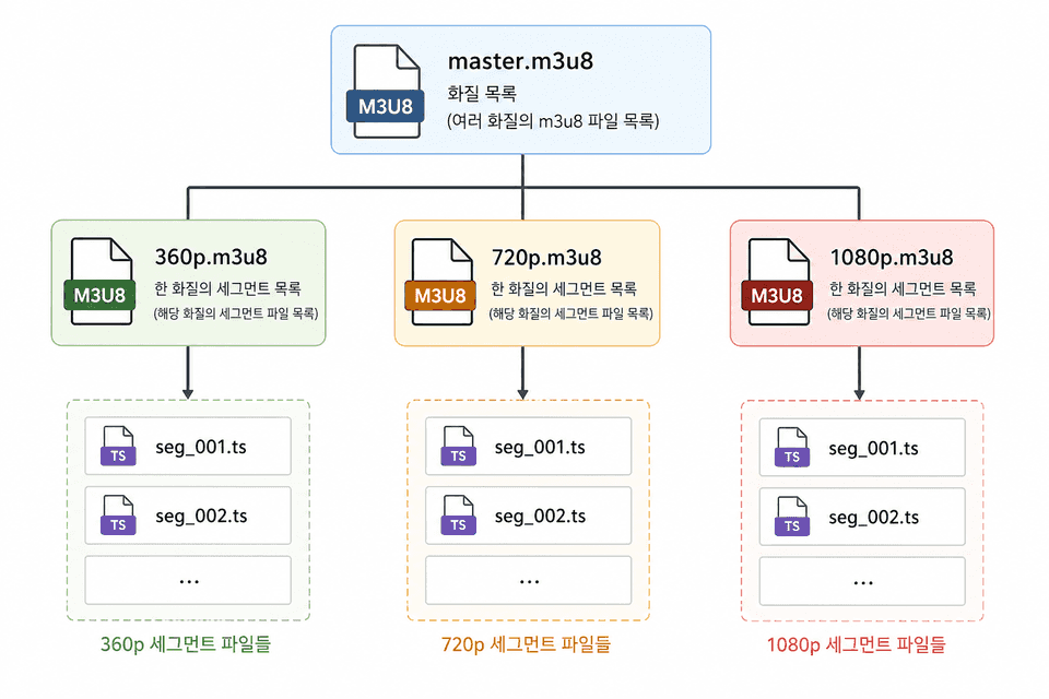 HLS 계층 구조